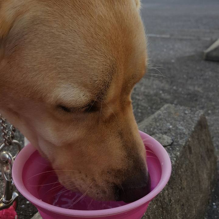 7ab8b28a a092 4d93 becb 2f462ebe7288