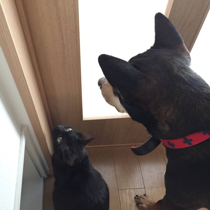 7ab8f62c ce4a 4c61 9558 22e907252335