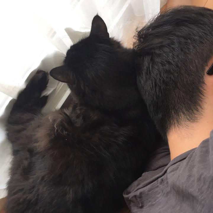 7aba2c4e 0228 43bd bd63 52cfd489b663