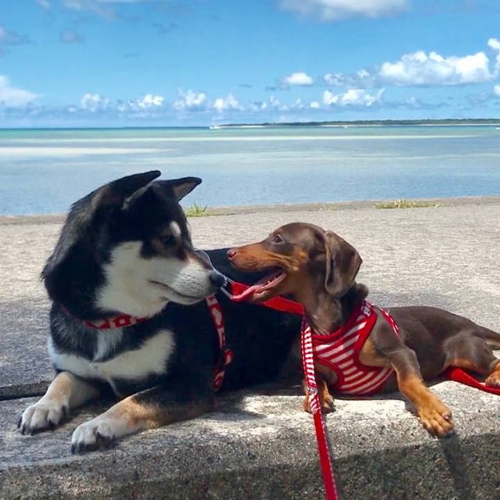 7aba2f1c 21c1 4adf a951 4f213251b617