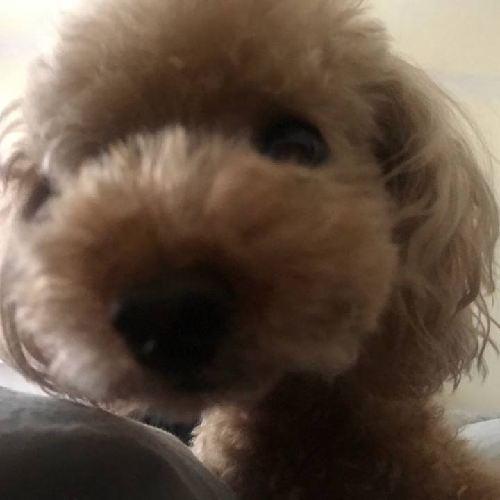 7abad2dd 70b1 41d9 bcc6 0da9cf423a82