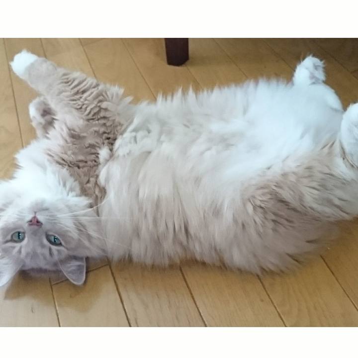 7abafa03 721b 467a ade7 1598bedf6cb9