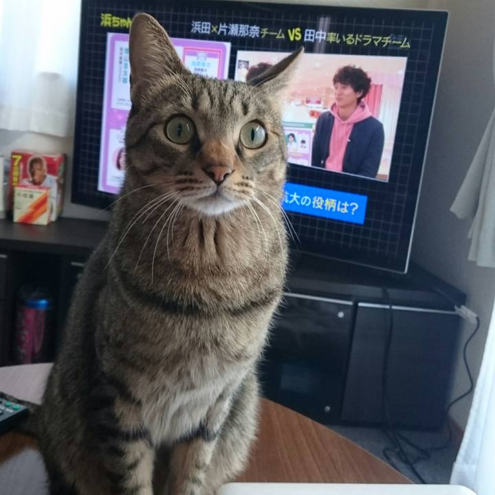 7abc4075 7527 45a8 9f65 89cc75aa2eb2