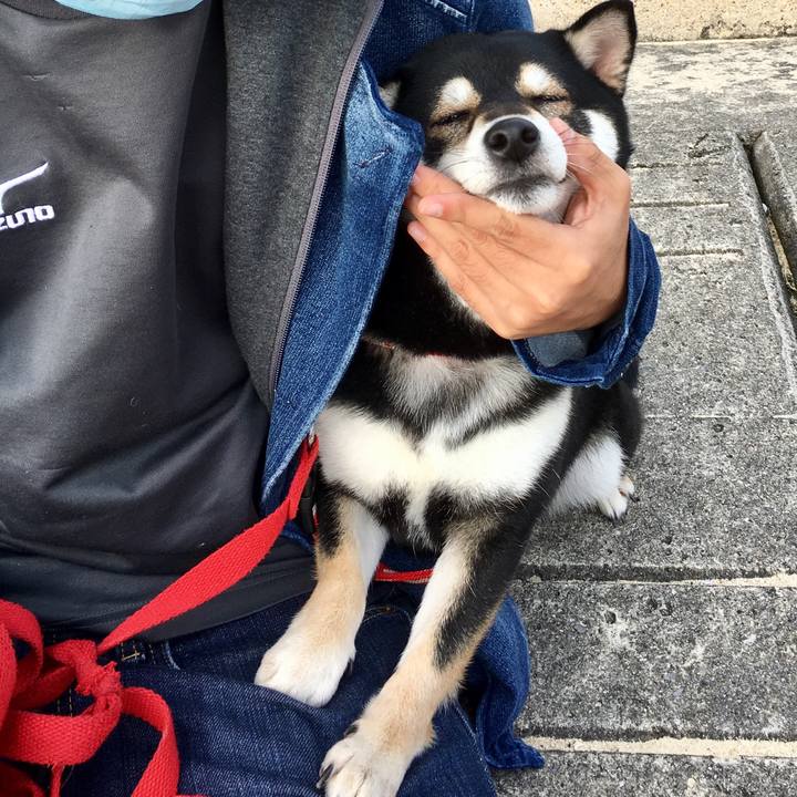 7abd2d86 5cce 40a9 9ff0 302d50ee0052