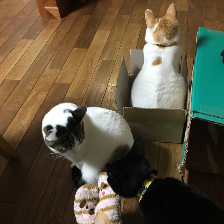 7abd3640 20f8 4dfe b14e e77dafe2e62c