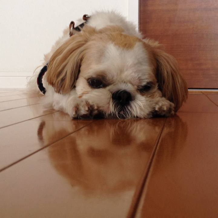 7abd82a5 7148 42e9 9e6b 78c47880f6de