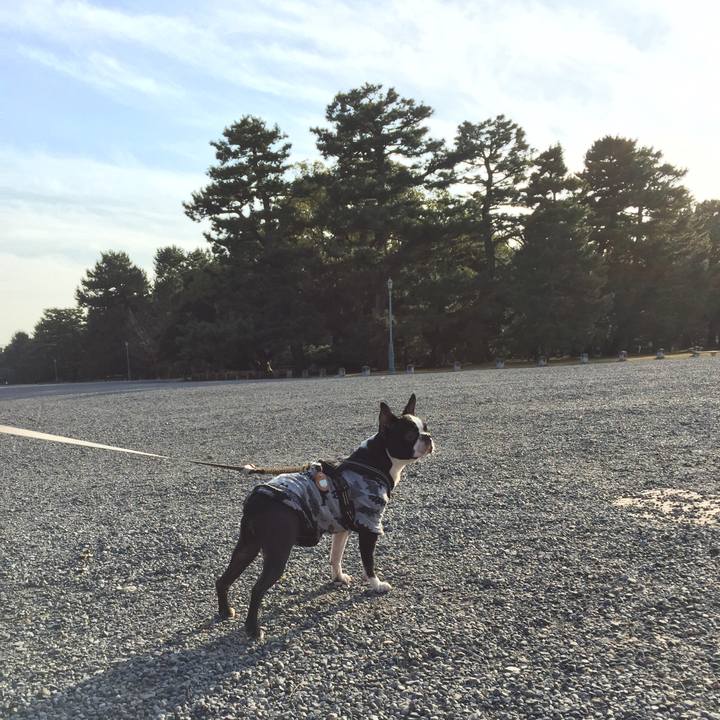 7abea434 3ead 41b4 8af2 136763a0fa84