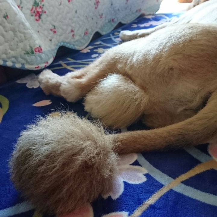 7abeb12c 17cf 4824 b438 087486e7b8b9