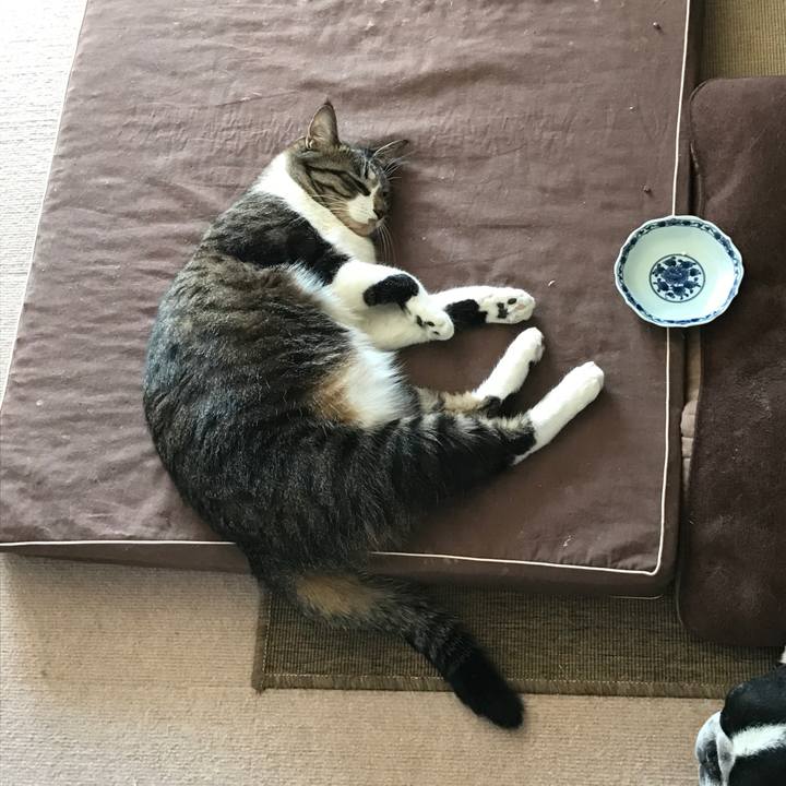 7abf296b acdc 45b4 b052 c9ecd31d56ab