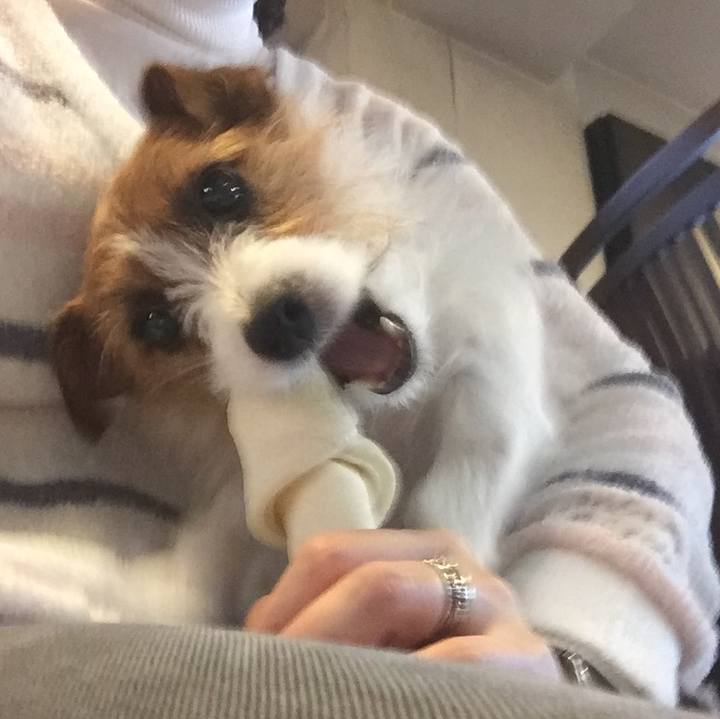 7abf89af 8324 4f10 a768 55fdec293272