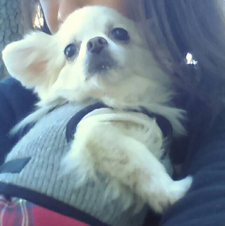 7abf910e 6ddd 4f4c a0dd 56e32bdedb8b