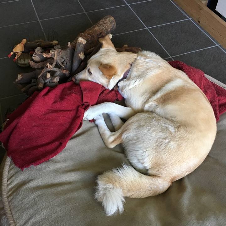 7ac03ce2 62b8 4823 8f8d 81a692e62627