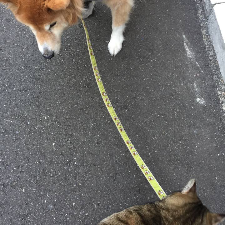 7ac06eb5 d09d 4b69 8d75 09f54ac9610e