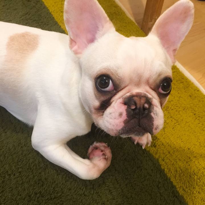 7ac08c19 83ab 431f 9125 c8bcdd744aa1