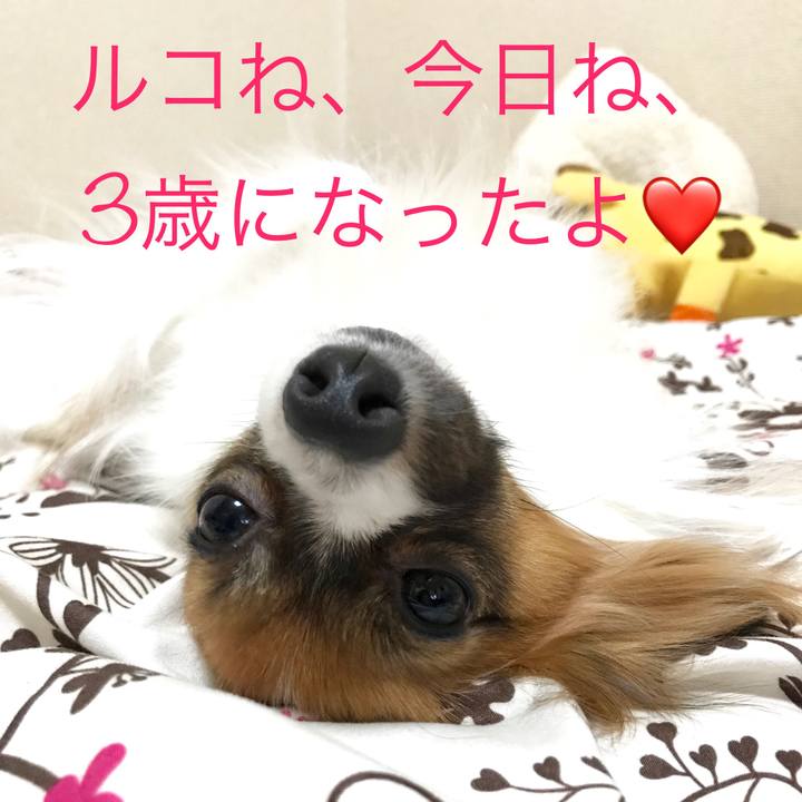 7ac09578 bc12 4620 8191 9b5e0418e1e1