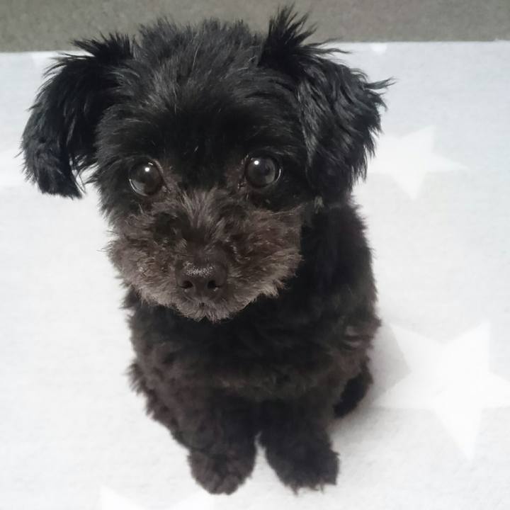 7ac09bfd df52 4c1f 8270 6567d843d44a