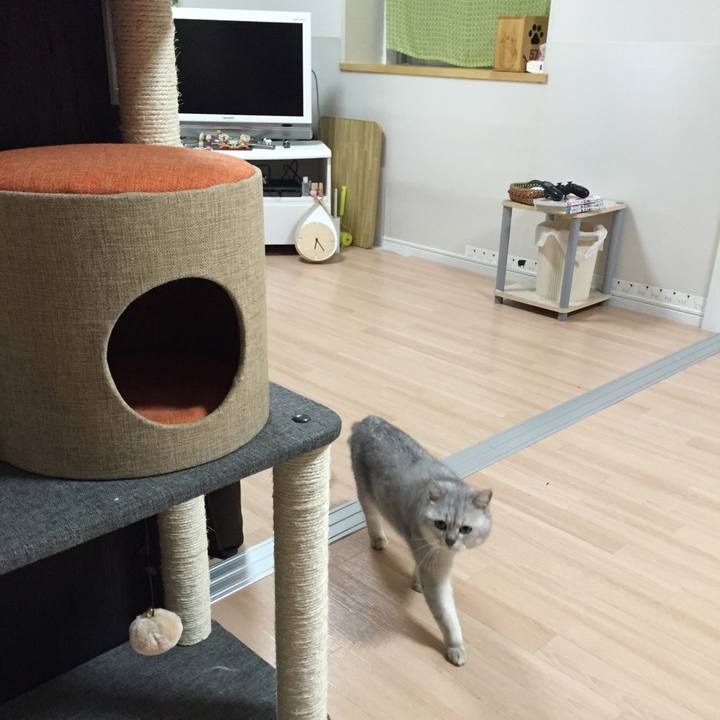 7ac125ad c02b 4b3f adfd 925a2a9013c7