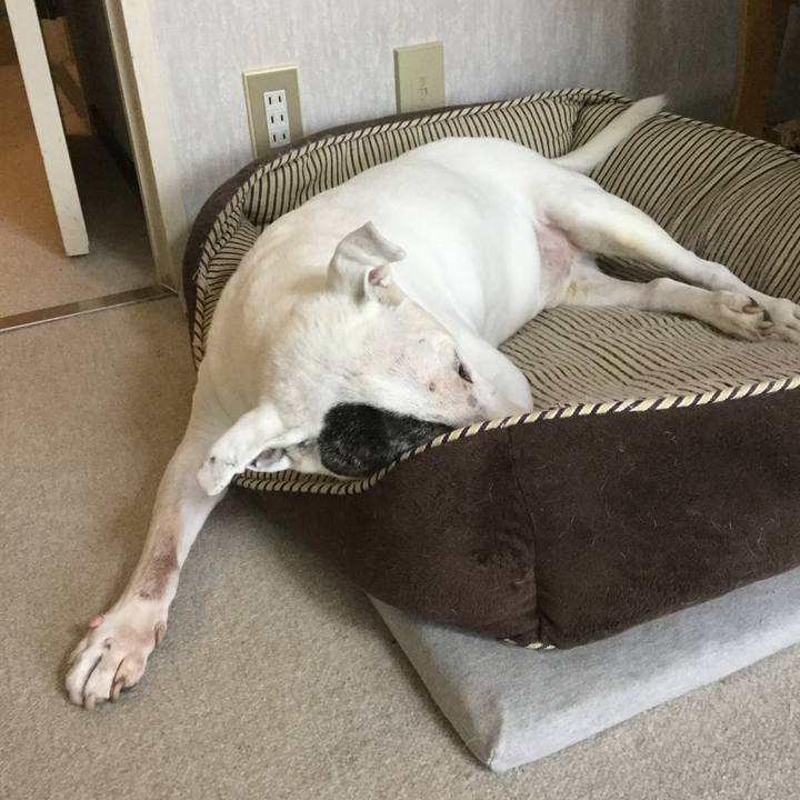 7ac18d3d ae63 4ed2 a8ad d5d92a24b2a8