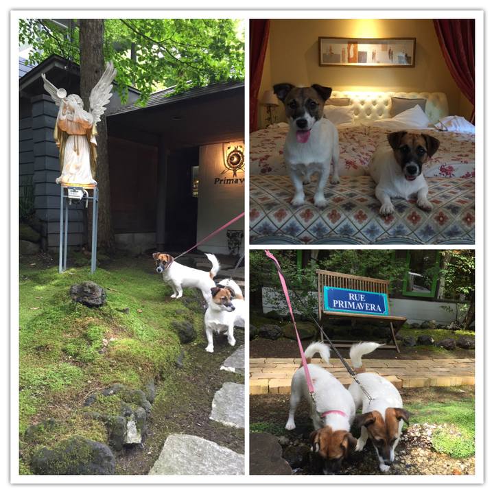 7ac2ca7a 98d1 4c22 b737 14fd53add72c