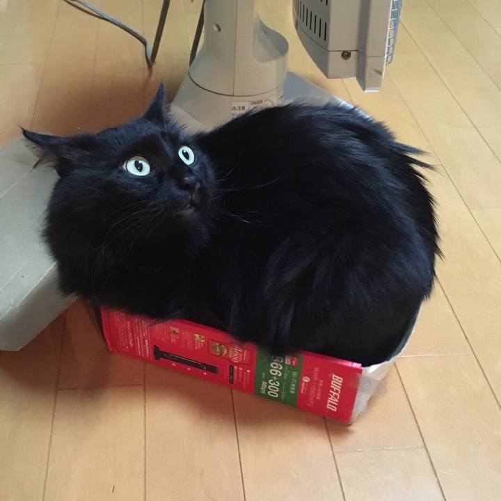 7ac35198 7129 472a b992 0e70196a9b11