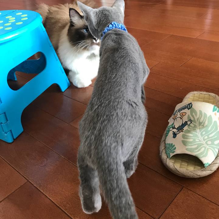 7ac3ba0d 7df4 4ac7 bf23 0e98e4919614