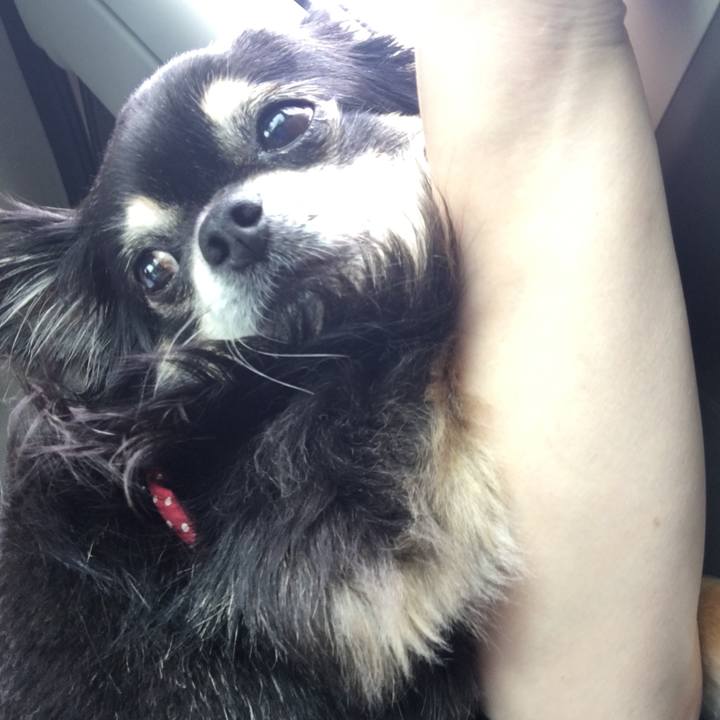 7ac3cd24 fff5 4050 b6c1 9aafd6b5a52d