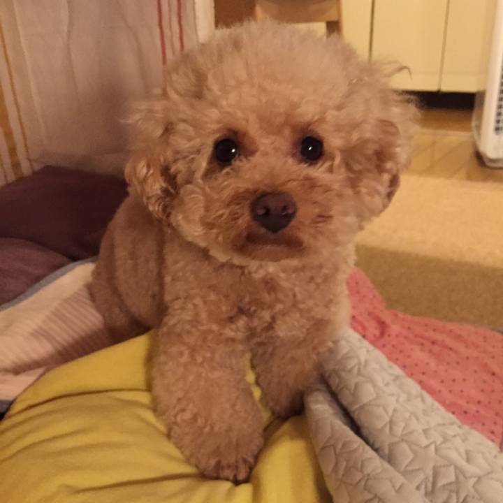 7ac47987 b8bc 4646 ab0e 703dee4c2d11