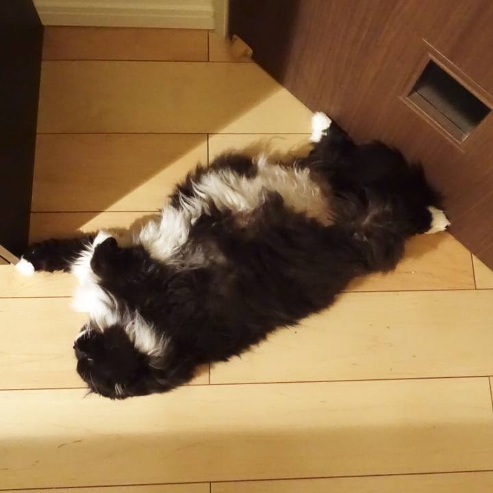 7ac4d840 b55b 43e7 a419 1d0cf855ee8d