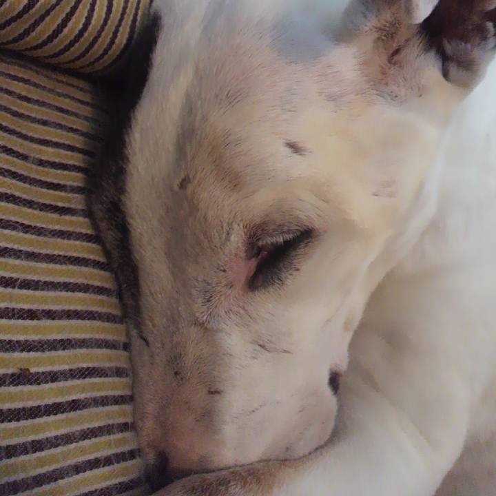 7ac5f82e e929 41cc 8f71 22e551c1e1ad