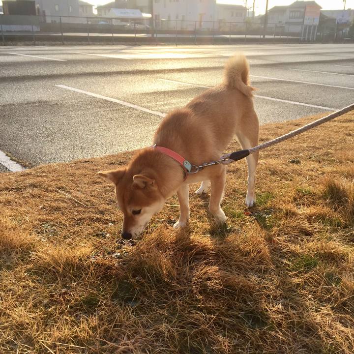 7ac64c82 3995 4804 aba0 a41a6527d744