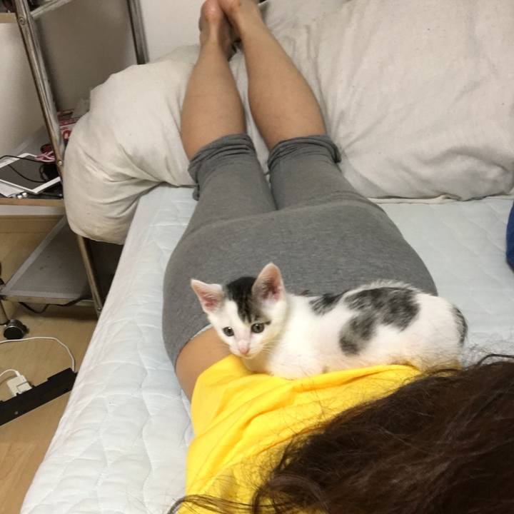 7ac697f8 74f3 4527 bf1b 2632389c610a