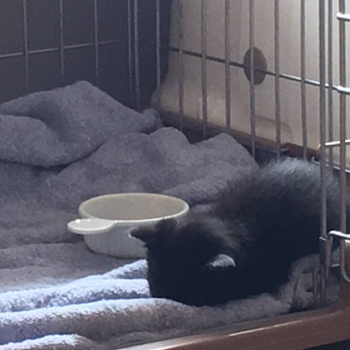 7ac7ac02 75c1 4c6f bcd9 642a6f7624db