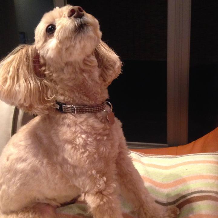 7ac9db74 c471 41c4 82d0 1b6624d90c86