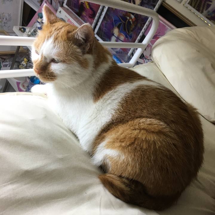 7aca8578 cd99 4420 8076 ea41c6986183