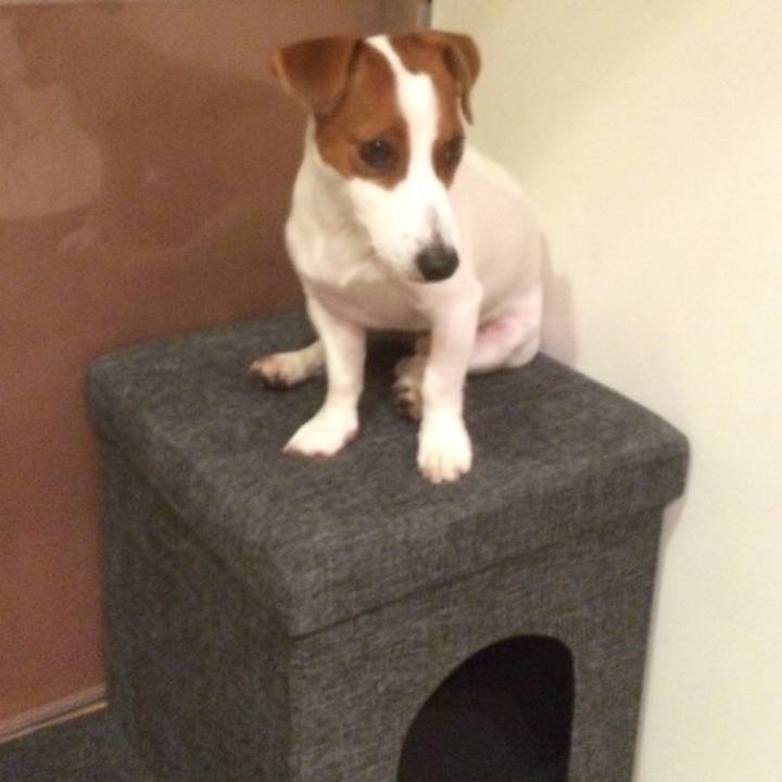 7acc00ac b7bf 4fe3 9751 e695299bd3e9