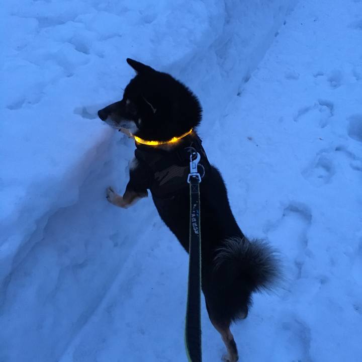 7accc0ca 597f 42e1 ad50 aa7cbcf4f354