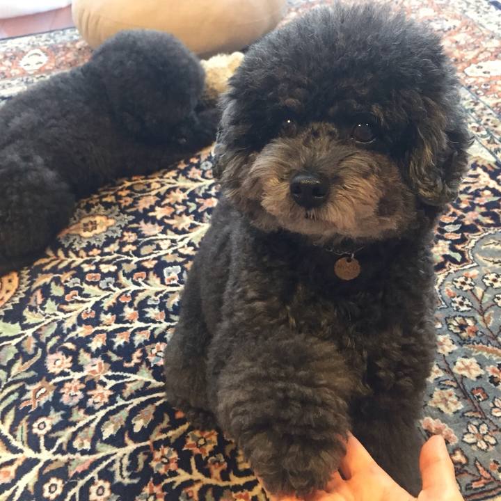 7acd0931 cb1d 43c7 ab1b 93aafb0dcd12