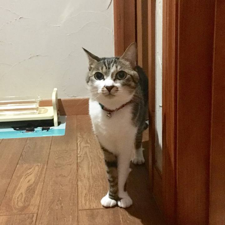 7ace69ef 5dd2 46ce 9b65 d631b9b79a6a