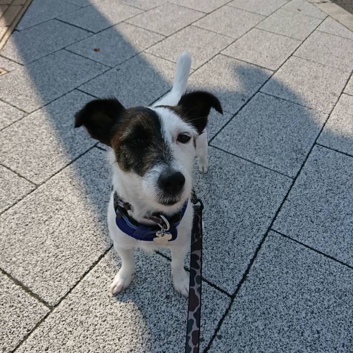 7ace8d03 6fb4 4cf8 862a f06cae9112b5