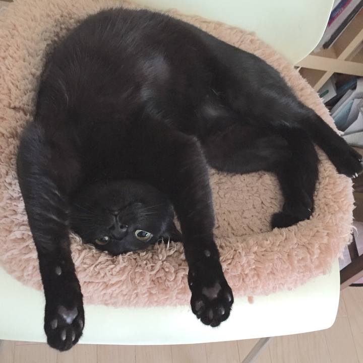 7ace93a1 5fb3 4192 91ae 390873fb7f17