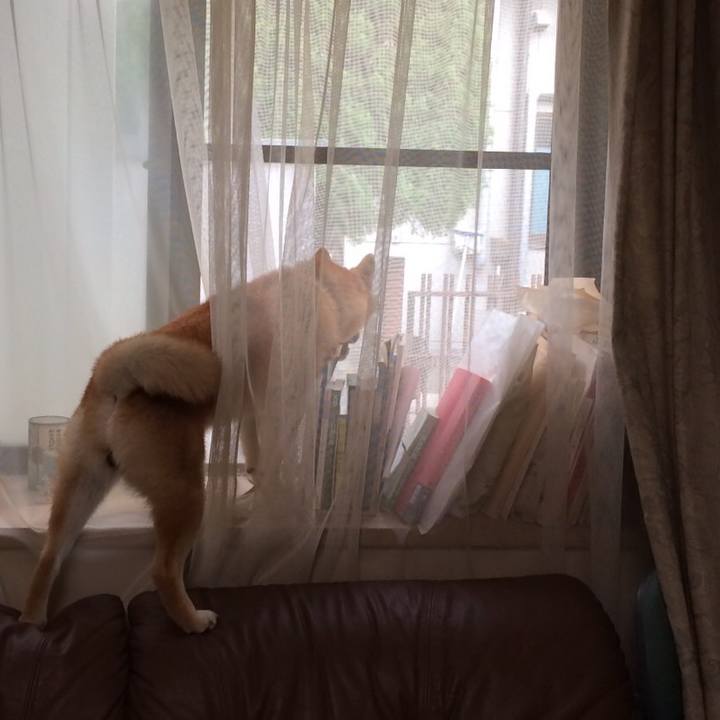 7aceb6ba 623c 49ac 89c7 13dba039a757