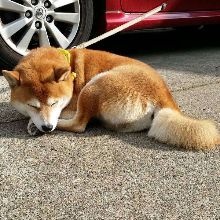 7aced9c2 61b8 4e0f b956 34fbd73068a6