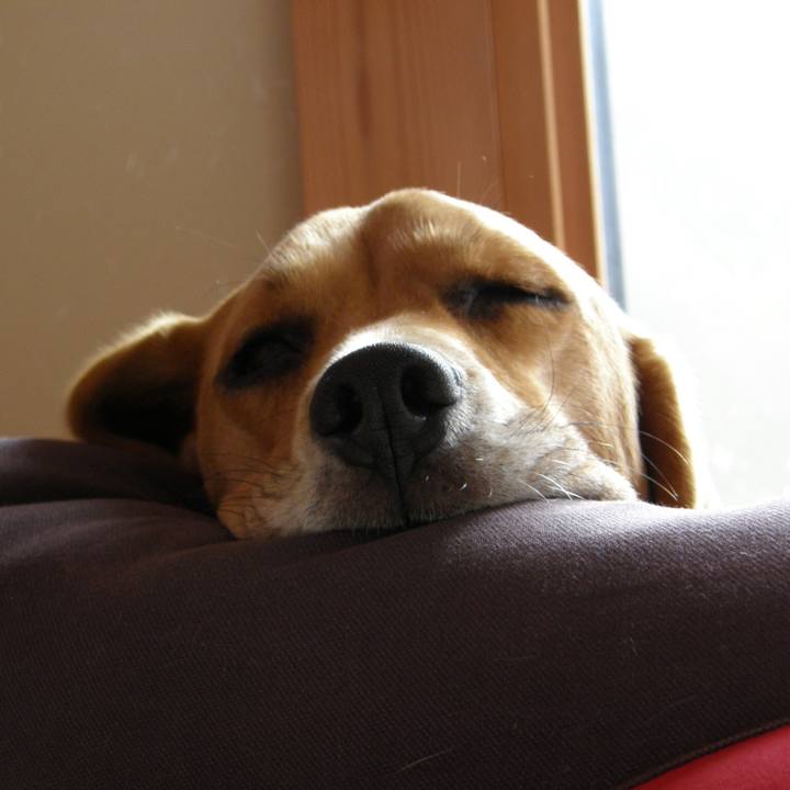 7acf147f b686 4e8e 86ed 5a7c881c38d0