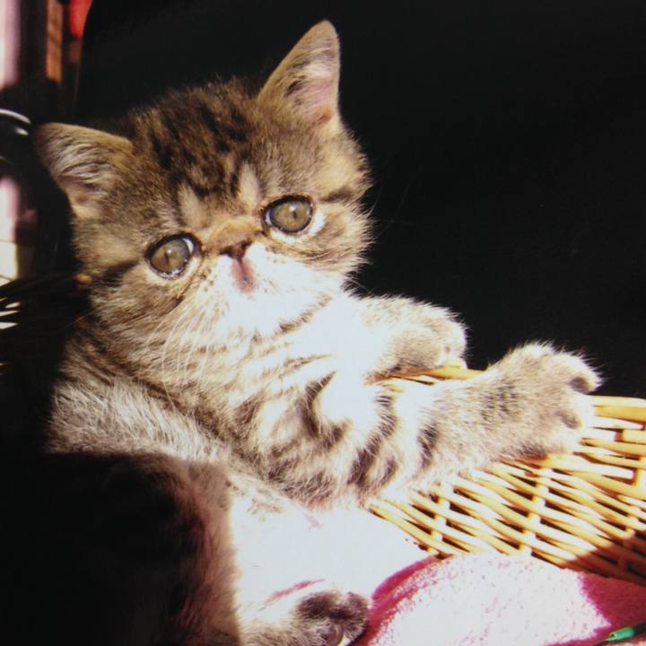 7acfe3b8 6280 477e 917d fe277cc98042