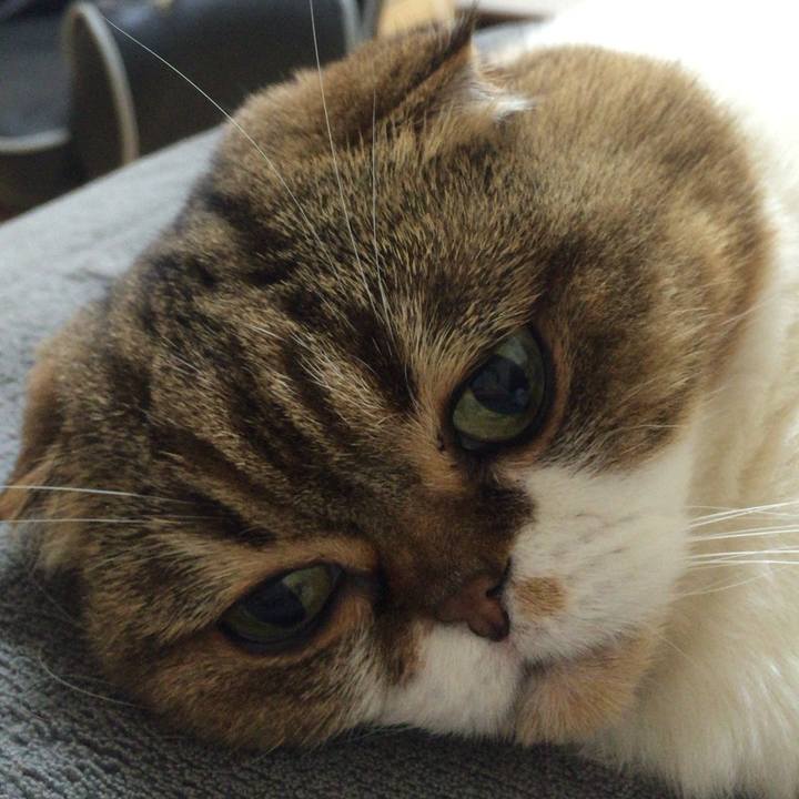 7acfe3e3 1a19 4f6e a6e9 a9951f792c40