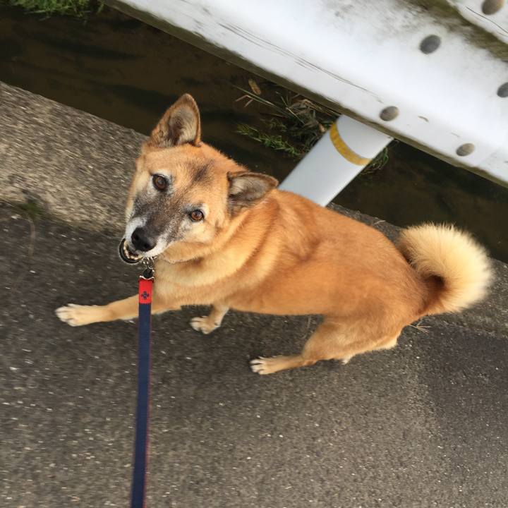 7ad0402b 3b42 443c 960a 7715b0aa66a5