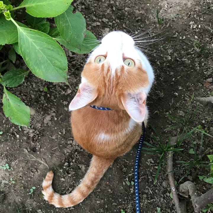 7ad050bf c5bf 4f07 b96f 230d767cdd2d