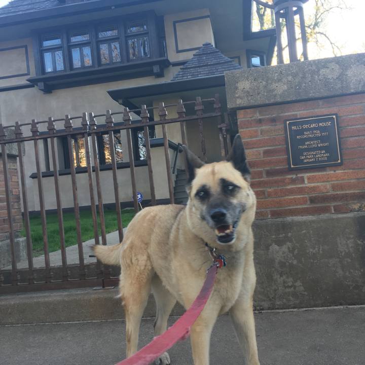 7ad10513 c214 4e6b bc71 86d6de83b0ae