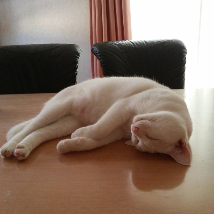 7ad20ee8 94cb 4416 ad0b be058edc0858