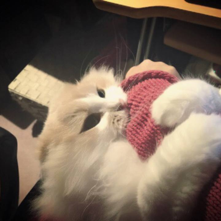 7ad24916 a97e 442f b571 9682113cf6a4